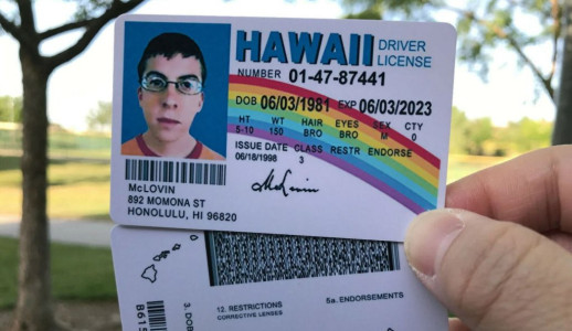Random 51 Gifts for Movie Lovers McLOVIN ID Card Replica
